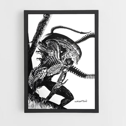 ap-xenomorph-7 cadre Noir