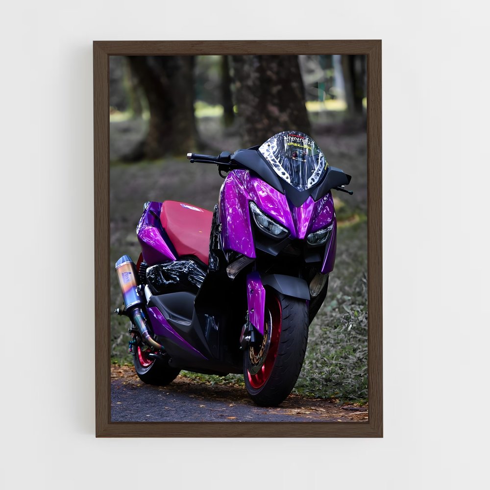 ap-xmax 300-1 cadre Bois foncé