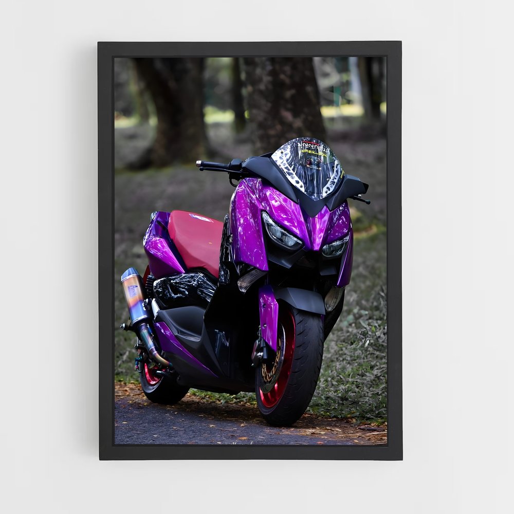 ap-xmax 300-1 cadre Noir