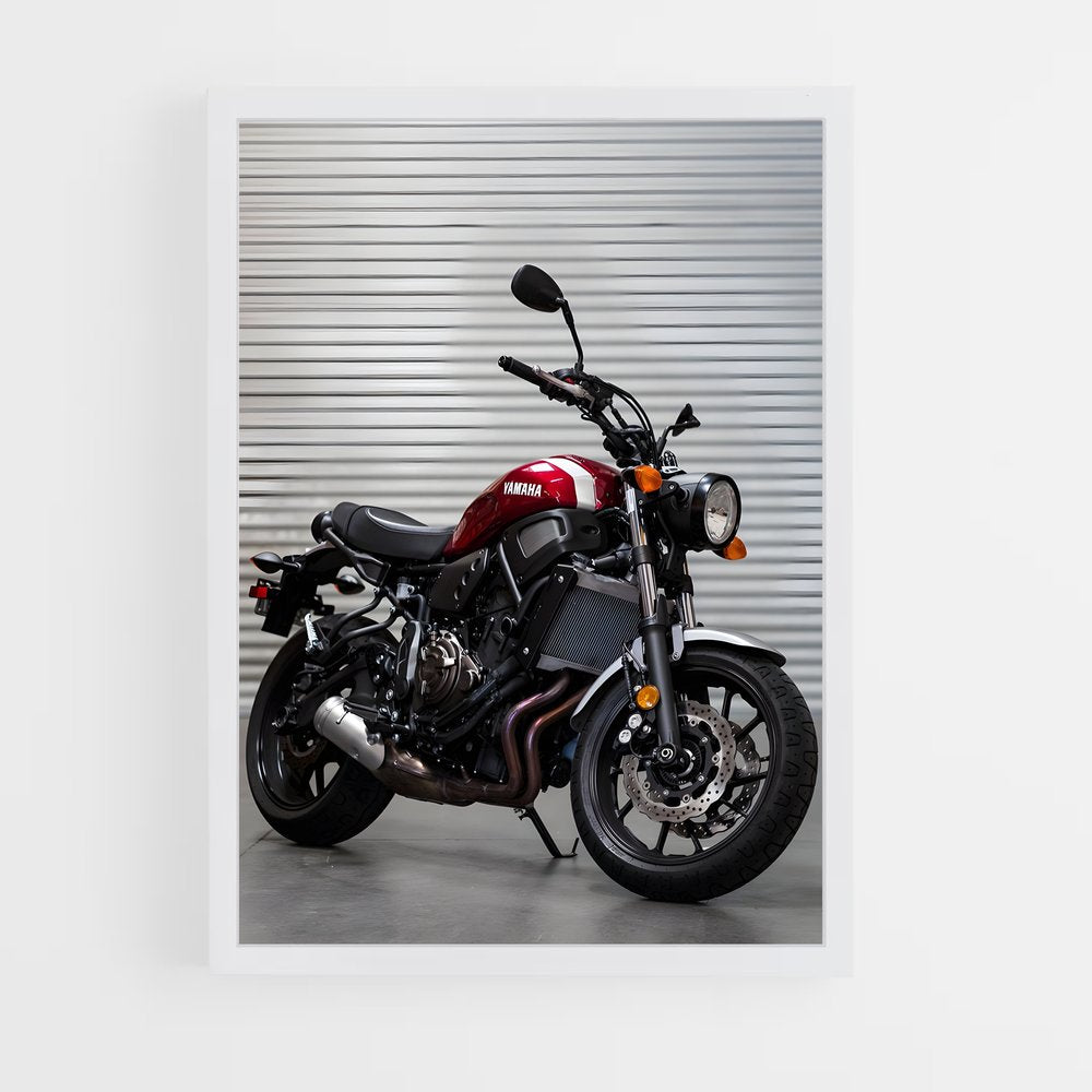 ap-xsr700-2 cadre Blanc
