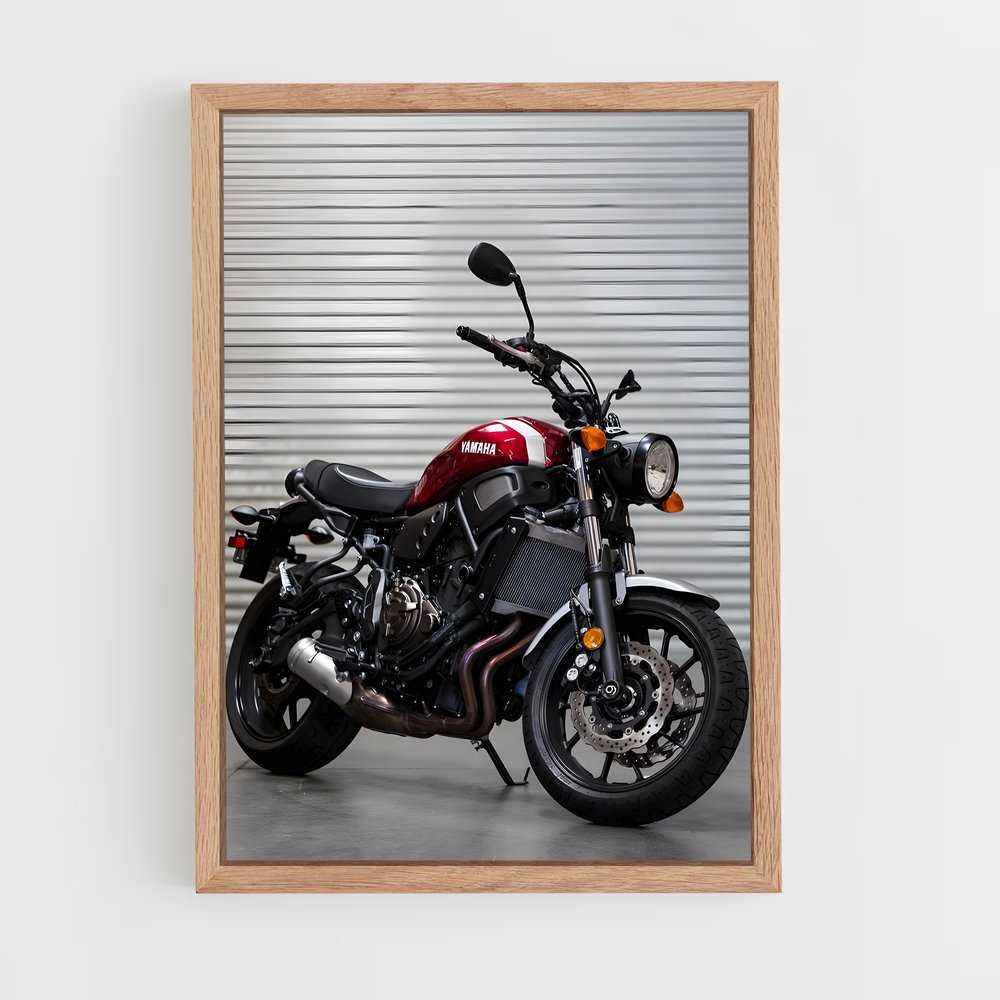 ap-xsr700-2 cadre Bois clair