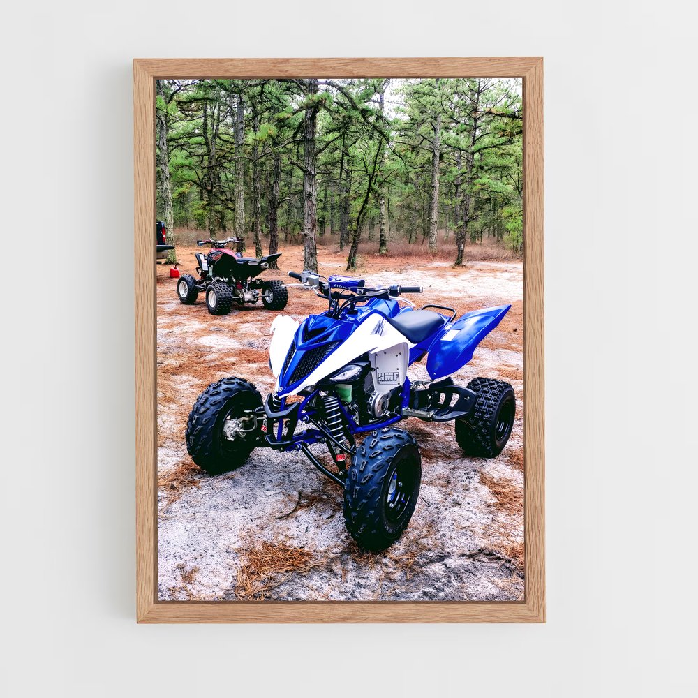 ap-yamaha raptor-1 cadre Bois clair