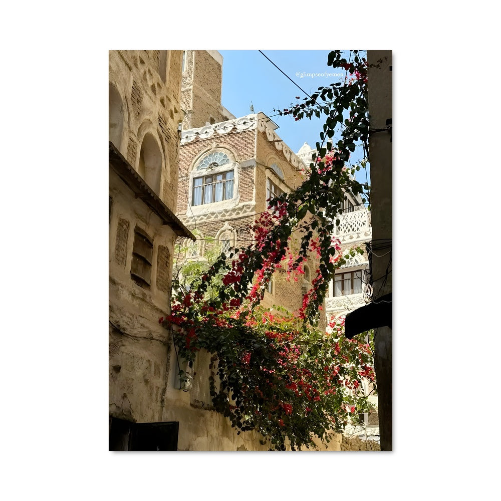 Poster Fleur de Rue
