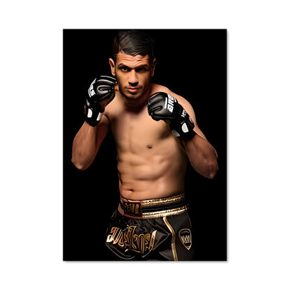 Poster Gants de Fureur