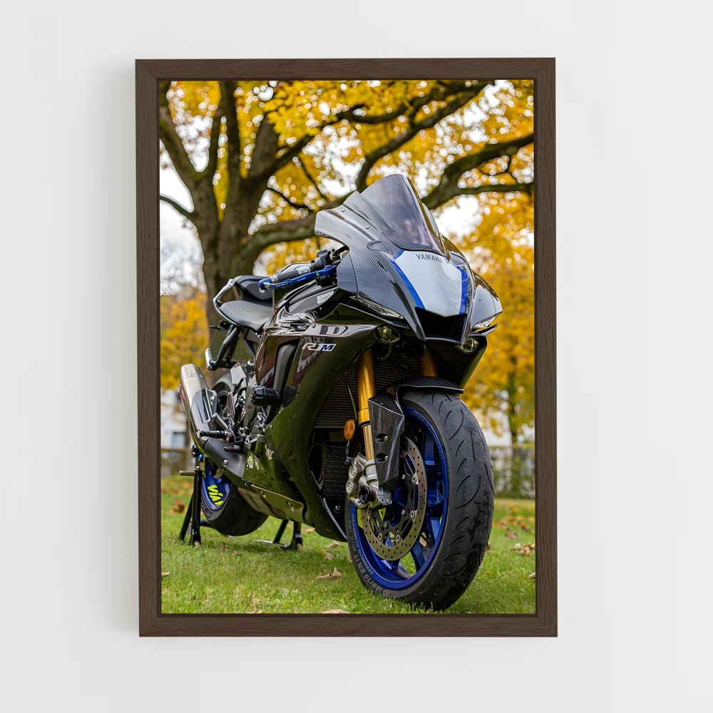 ap-yzf-r1m-1 cadre Bois foncé