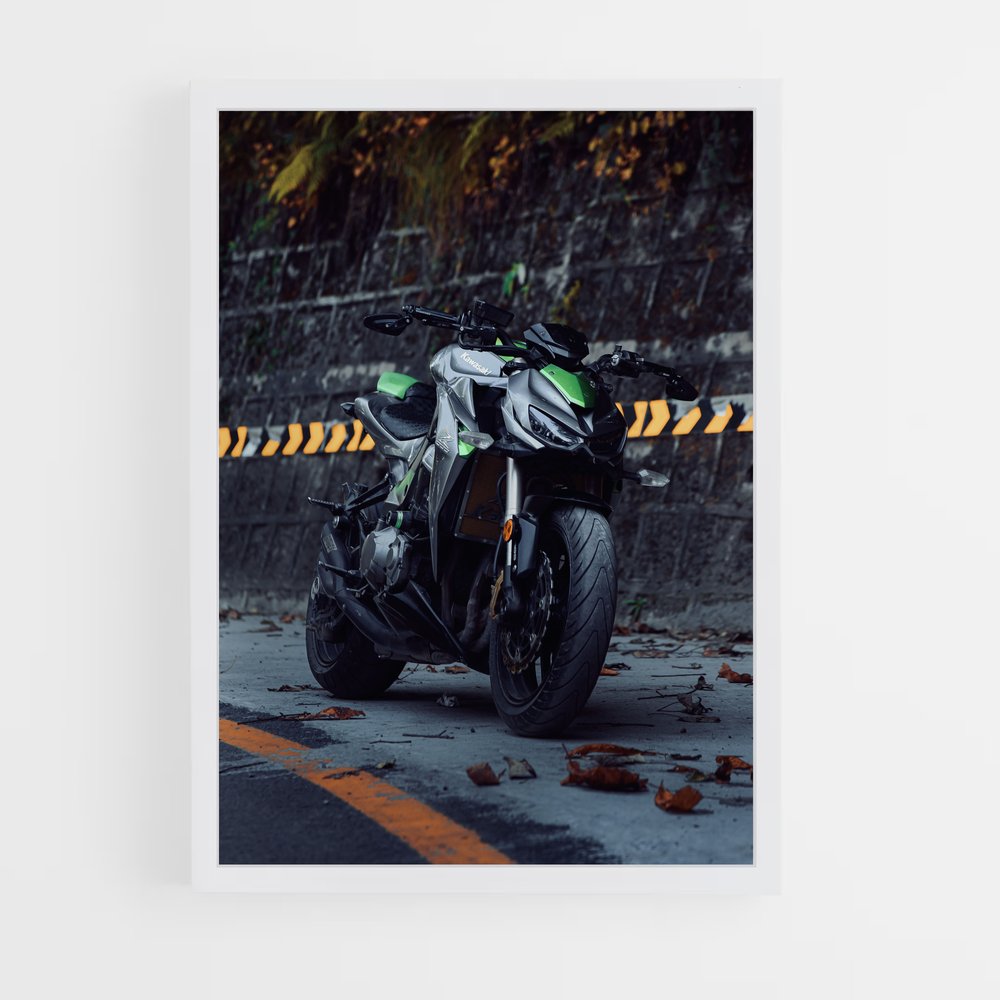ap-z1000-2 cadre Blanc