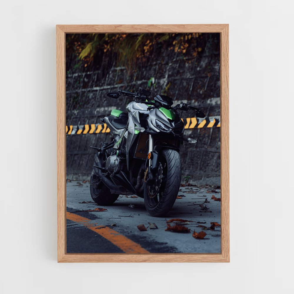 ap-z1000-2 cadre Bois clair