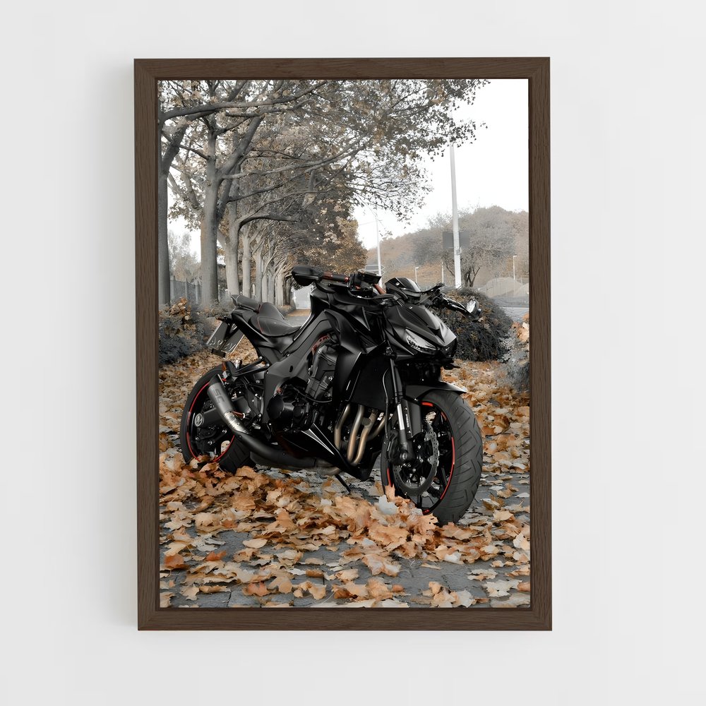 ap-z1000-4 cadre Bois foncé