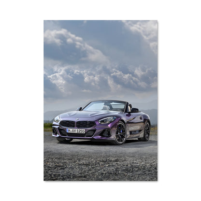 Poster Z4 sur Route Gravelée