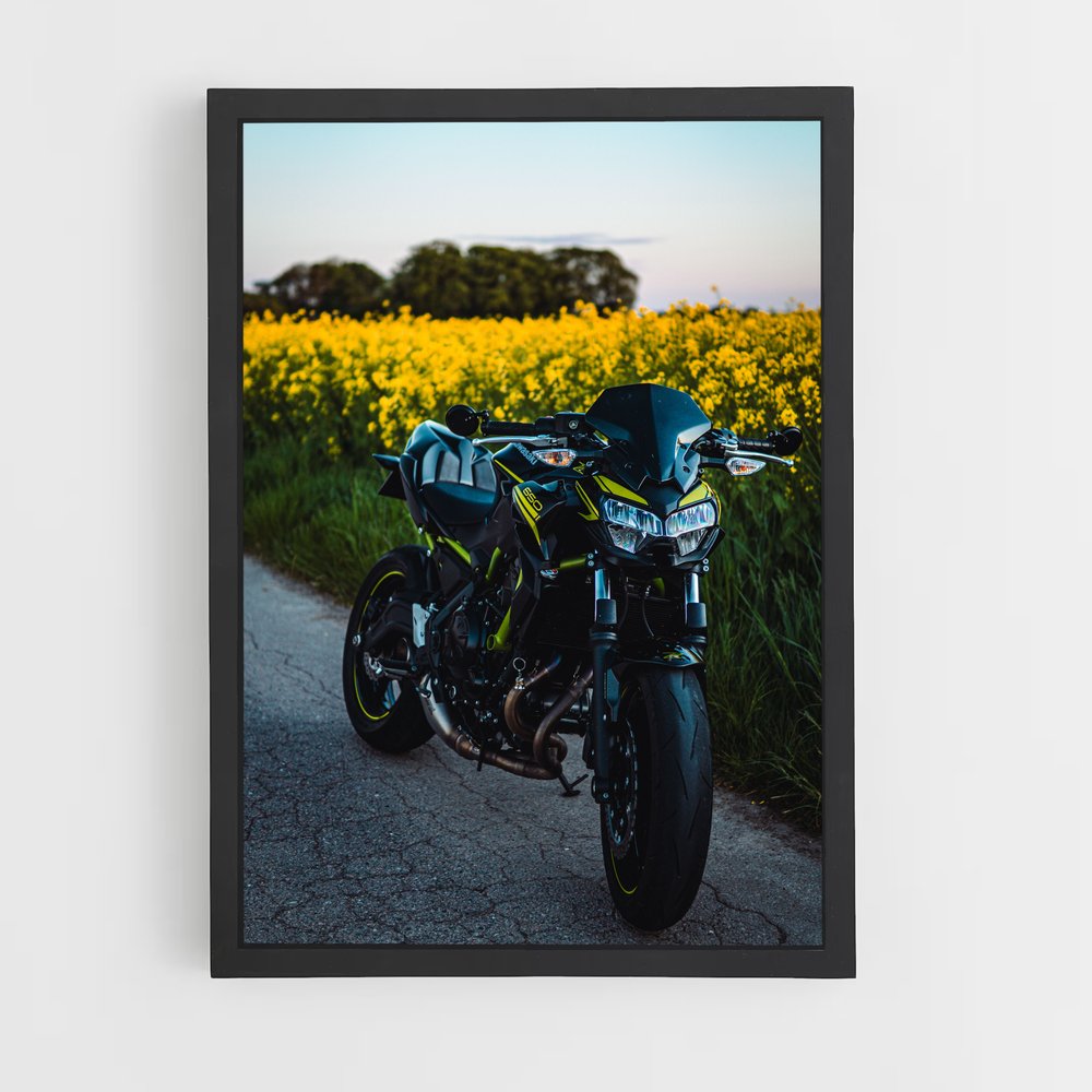 ap-z650-4 cadre Noir