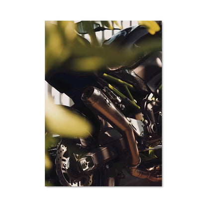 Poster Ride & Bloom