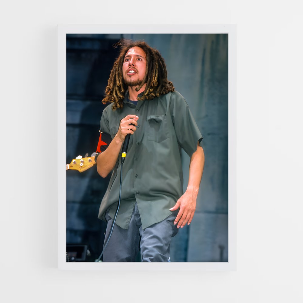 ap-zack de la rocha-2 cadre Blanc