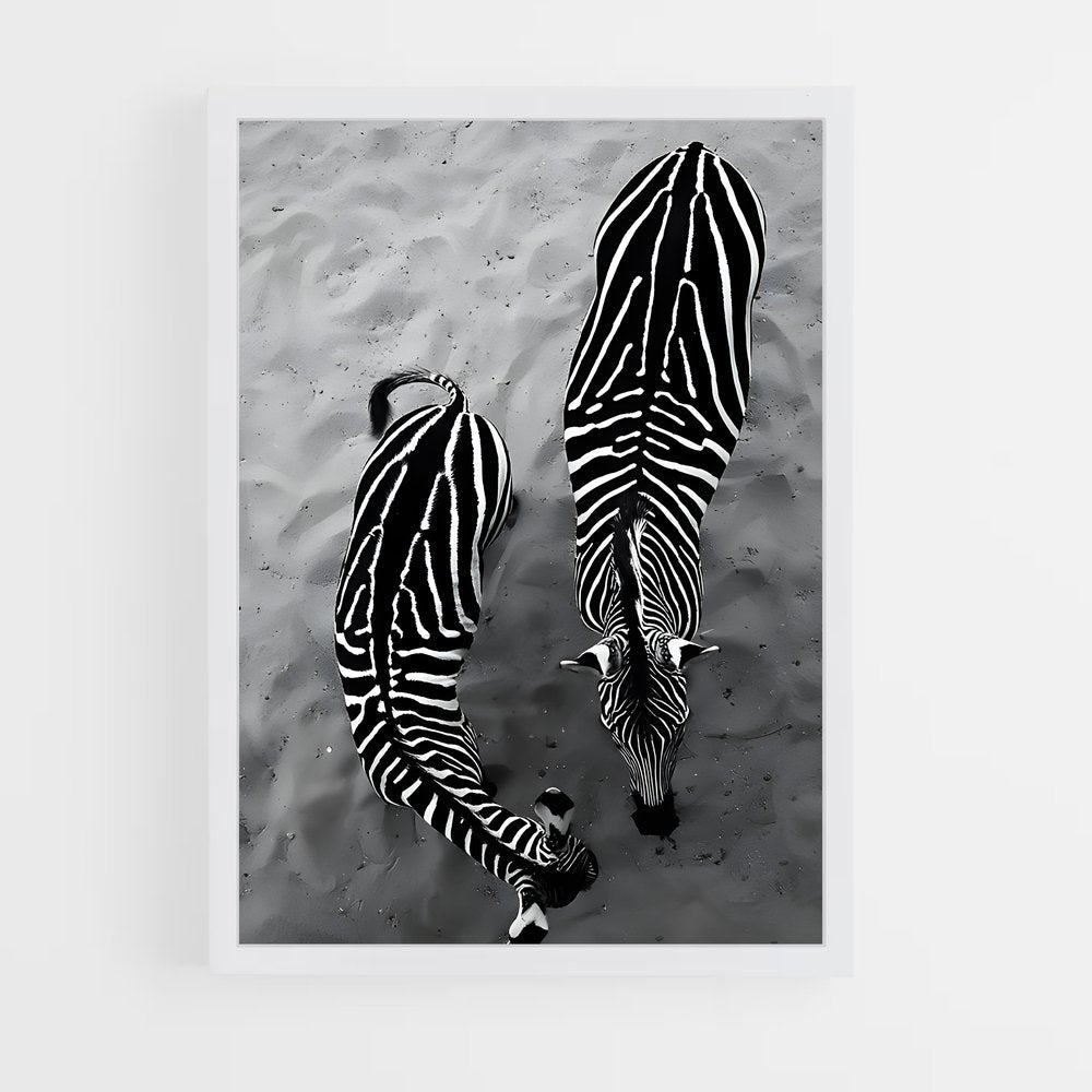 ap-zebra-4 cadre Blanc