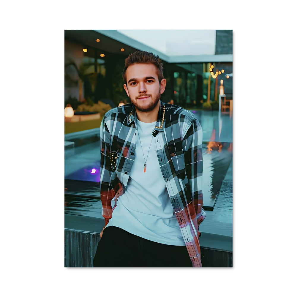 Poster Zedd 45811