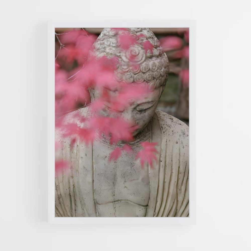 ap-zen-6 cadre Blanc