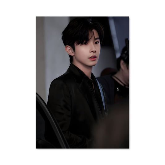 Poster Velvet Noir
