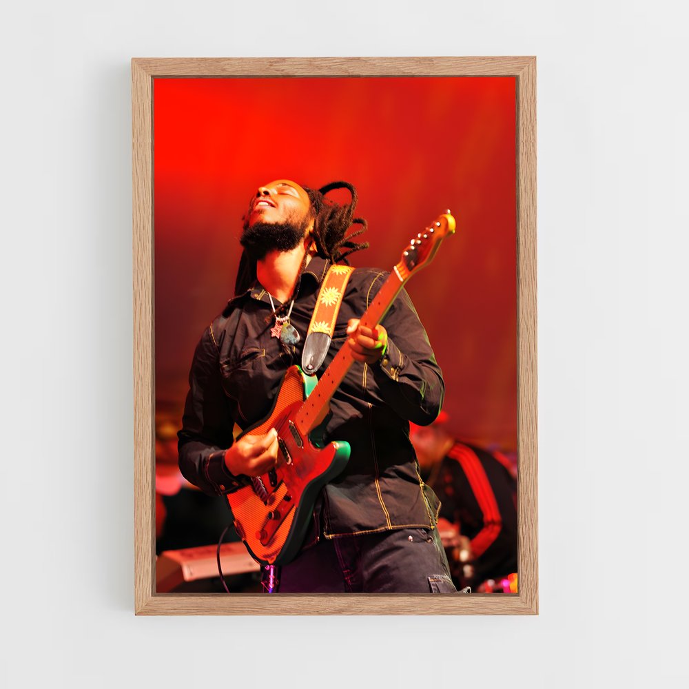 ap-ziggy marley-8 cadre Bois clair