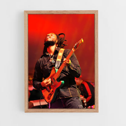 ap-ziggy marley-8 cadre Bois clair