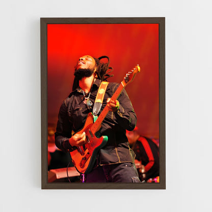 ap-ziggy marley-8 cadre Bois foncé