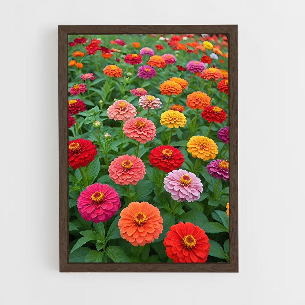 ap-zinnia-1 cadre Bois foncé