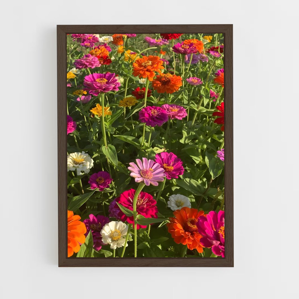 ap-zinnia-4 cadre Bois foncé