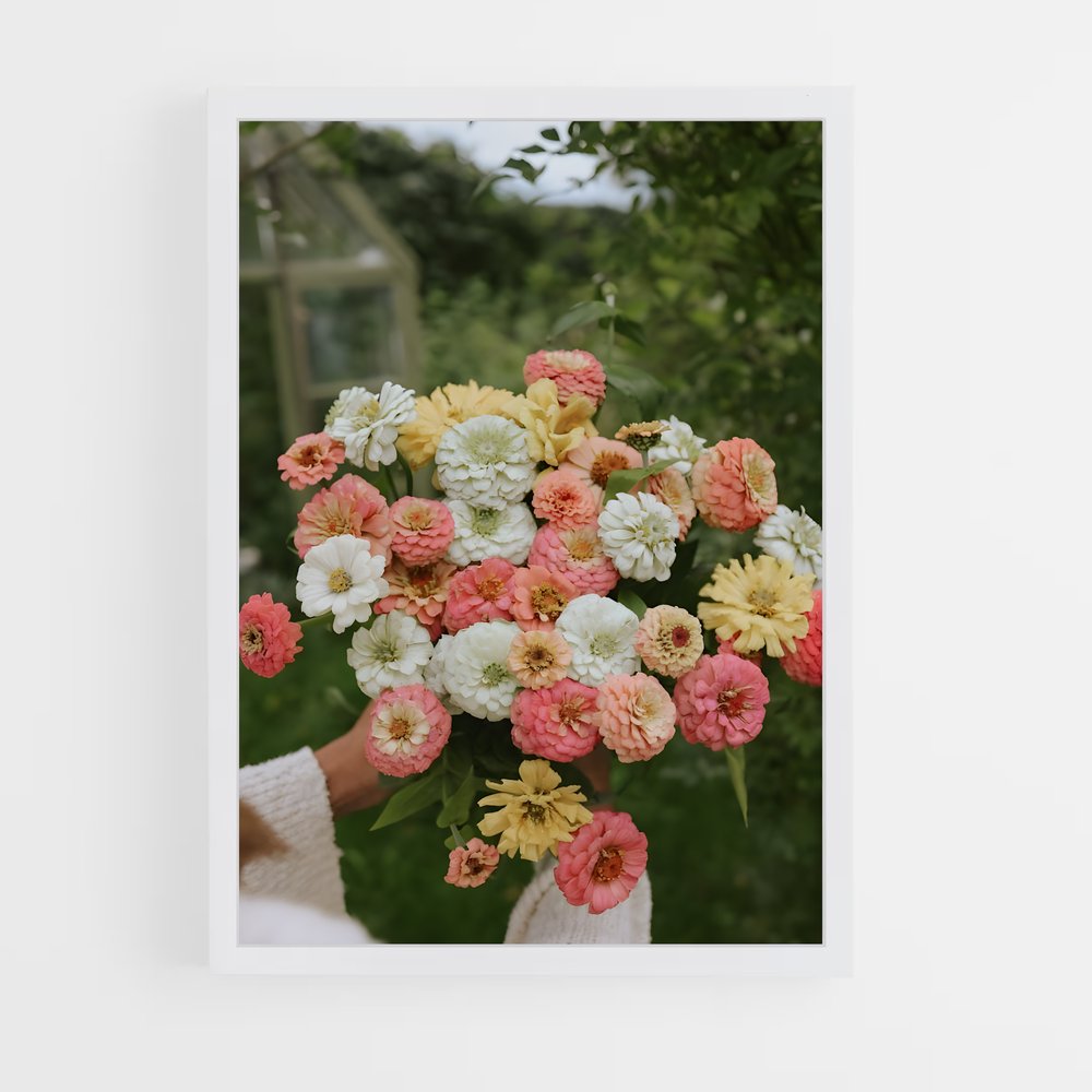 ap-zinnia-6 cadre Blanc