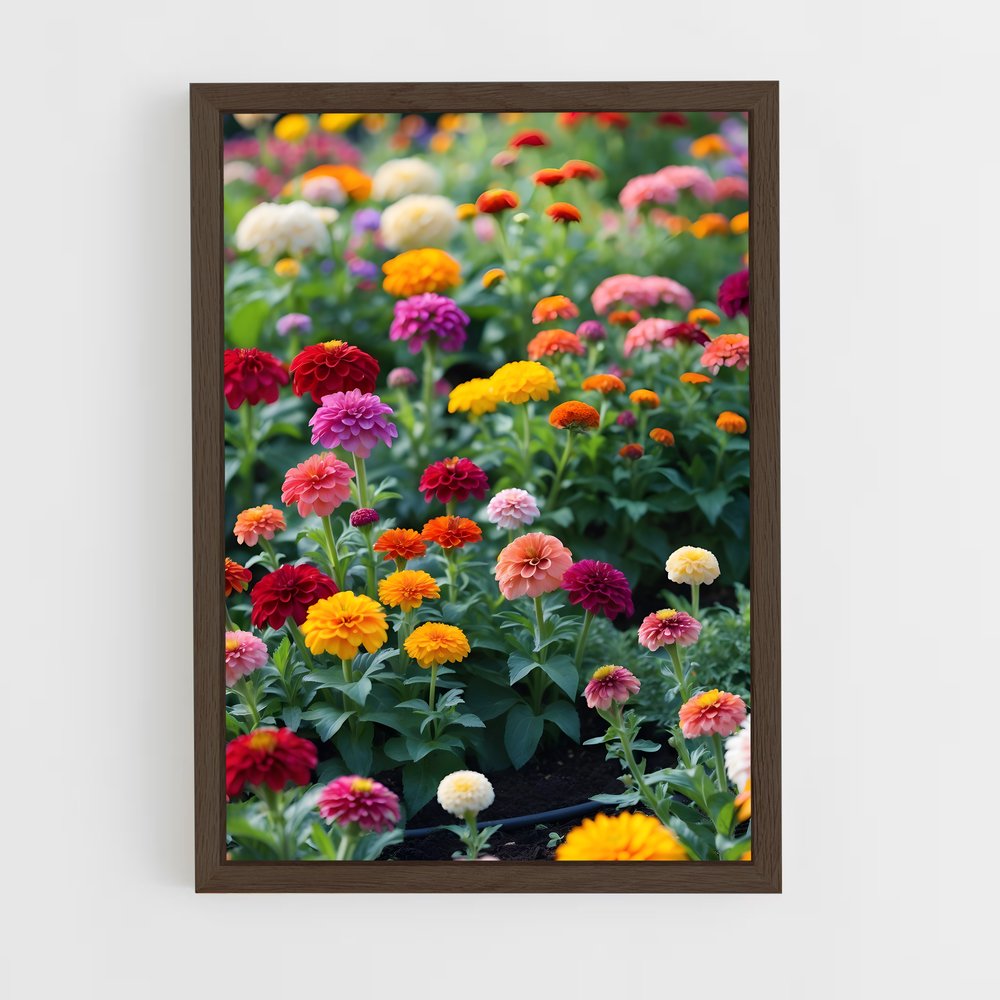 ap-zinnia-9 cadre Bois foncé