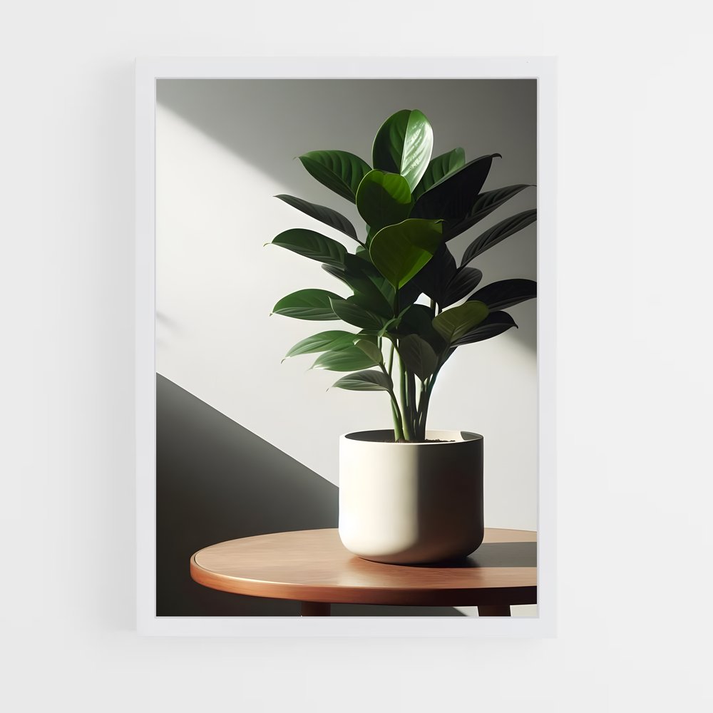 ap-zz plant-2 cadre Blanc