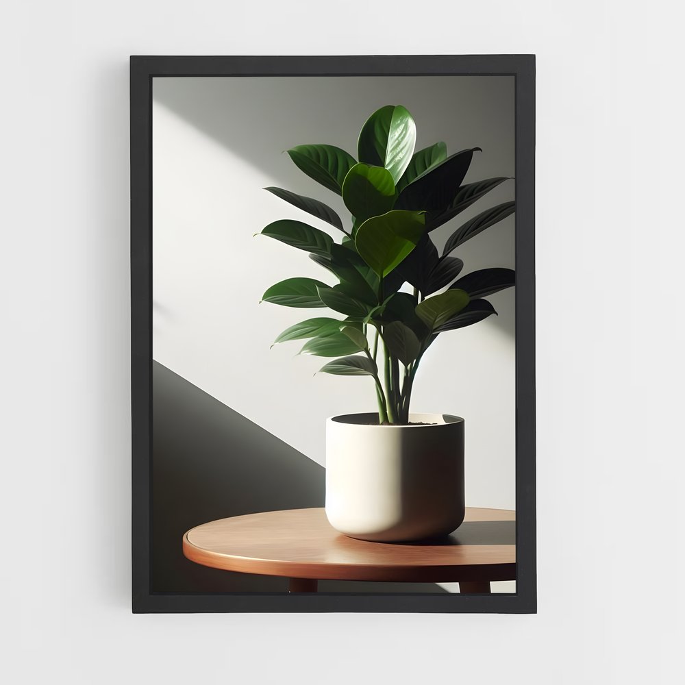 ap-zz plant-2 cadre Noir