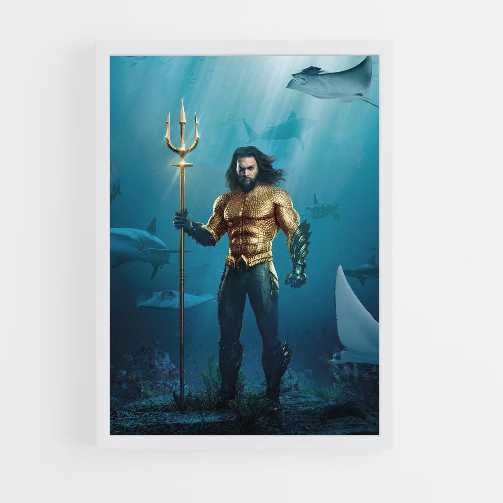 Aquaman Costume Poster