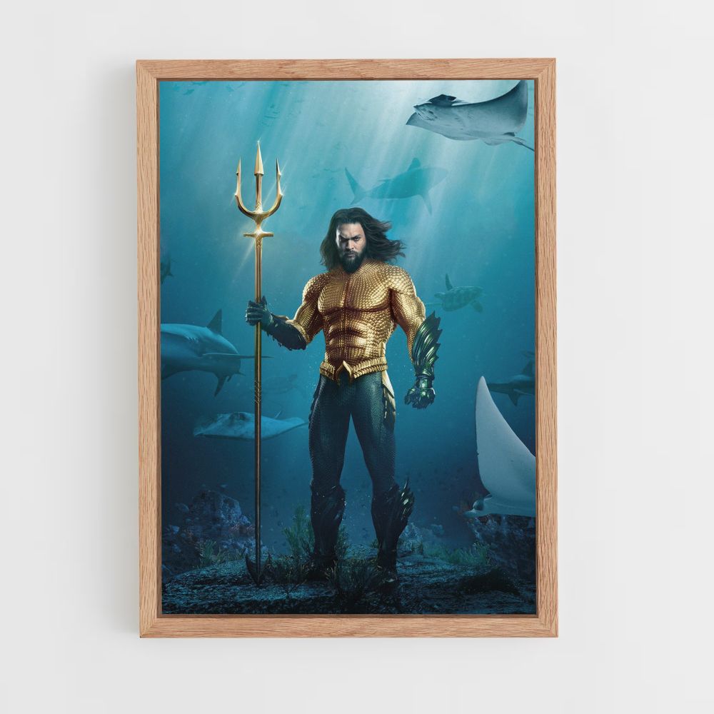 Aquaman Costume Poster