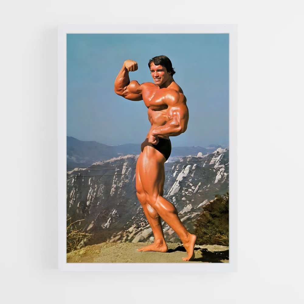 arnold-8 cadre Blanc