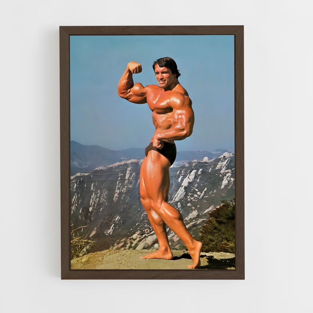 arnold-8 cadre Bois foncé