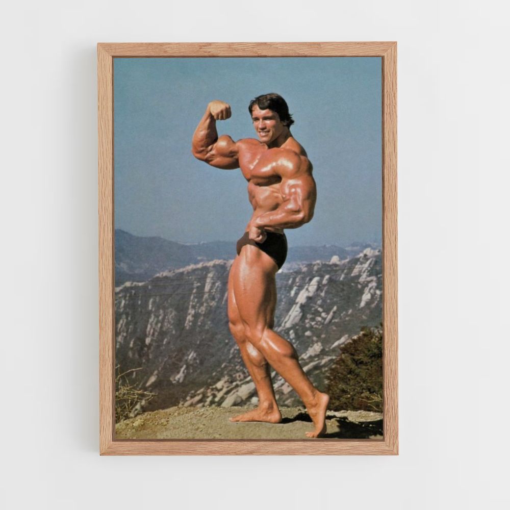 Poster Arnold Biceps