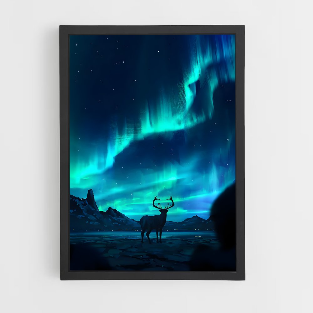 aurora-6 cadre Noir