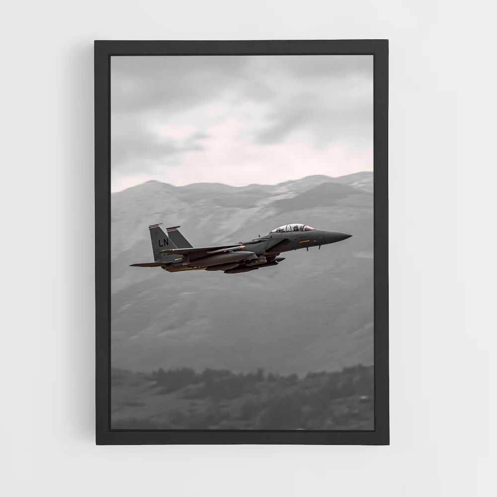 Fighter Plane Nature Poster