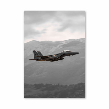 Fighter Plane Nature Poster