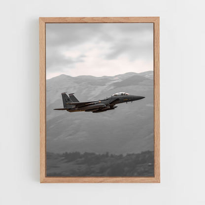 Fighter Plane Nature Poster