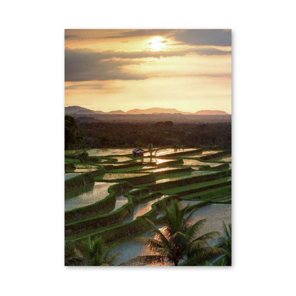 Poster Bali Rice Fields | Aesthetic Posters