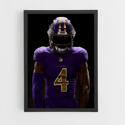 baltimore-ravens-19 cadre Noir