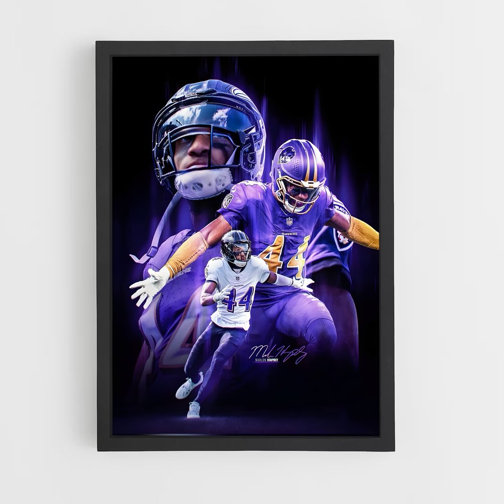 baltimore-ravens-20 cadre Noir