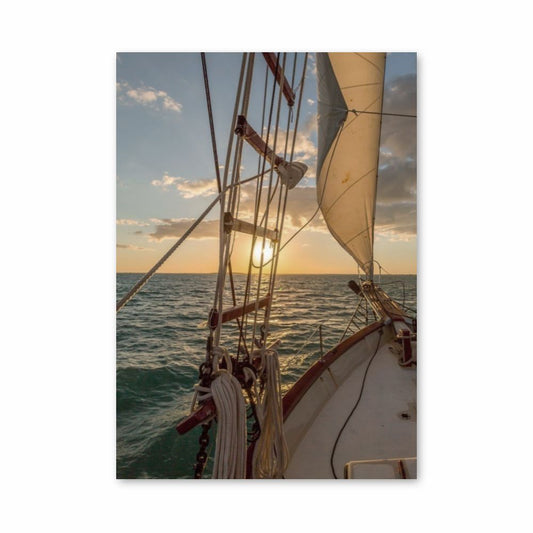 Sailing Boats Poster