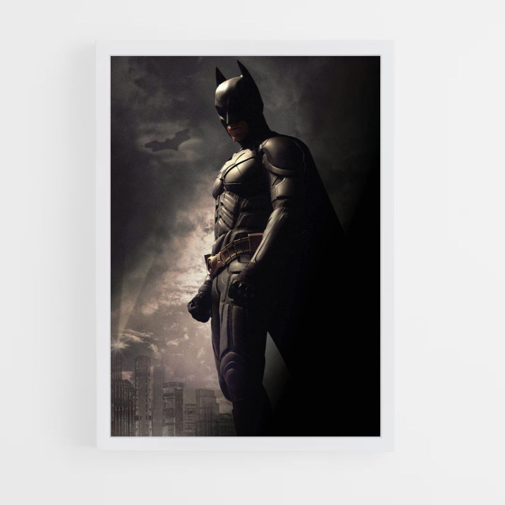 Poster The Dark Night