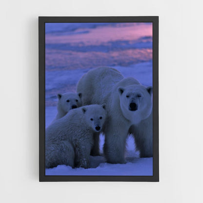 Poster White Bears Family