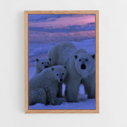 Poster White Bears Family