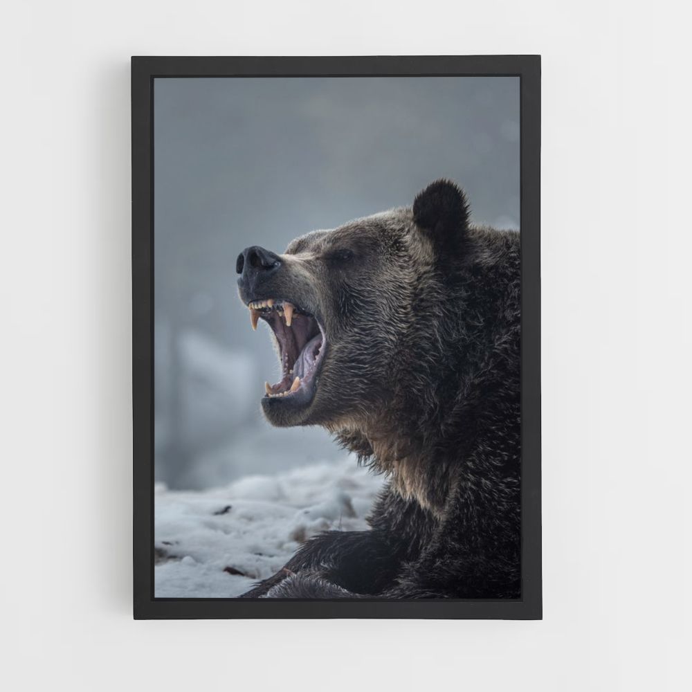 Brown Bear Poster