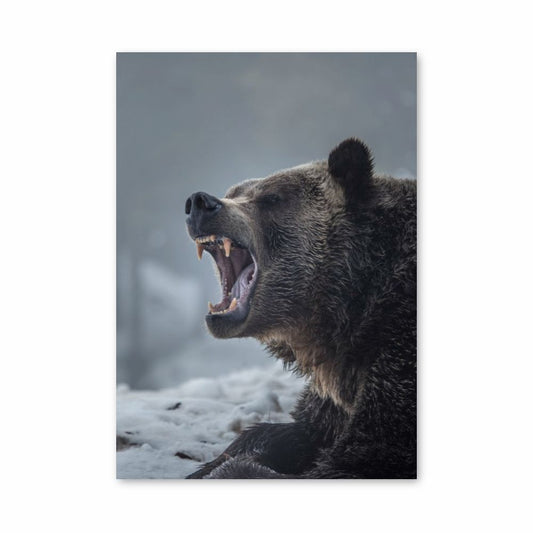 Brown Bear Poster