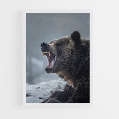 Brown Bear Poster