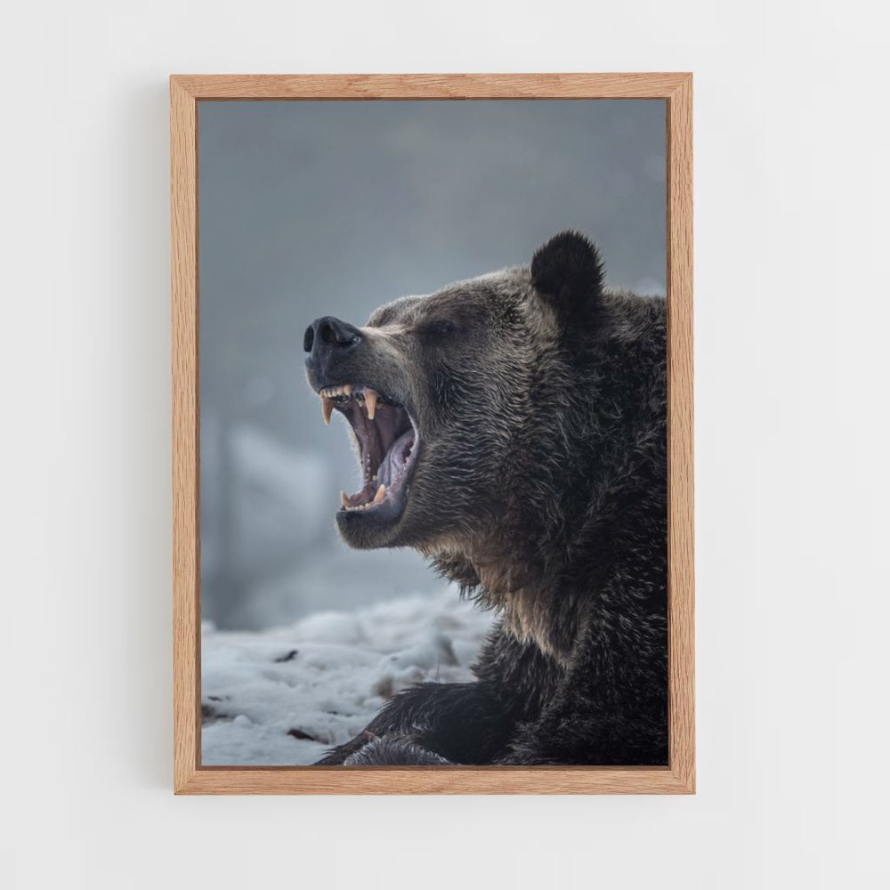 Brown Bear Poster