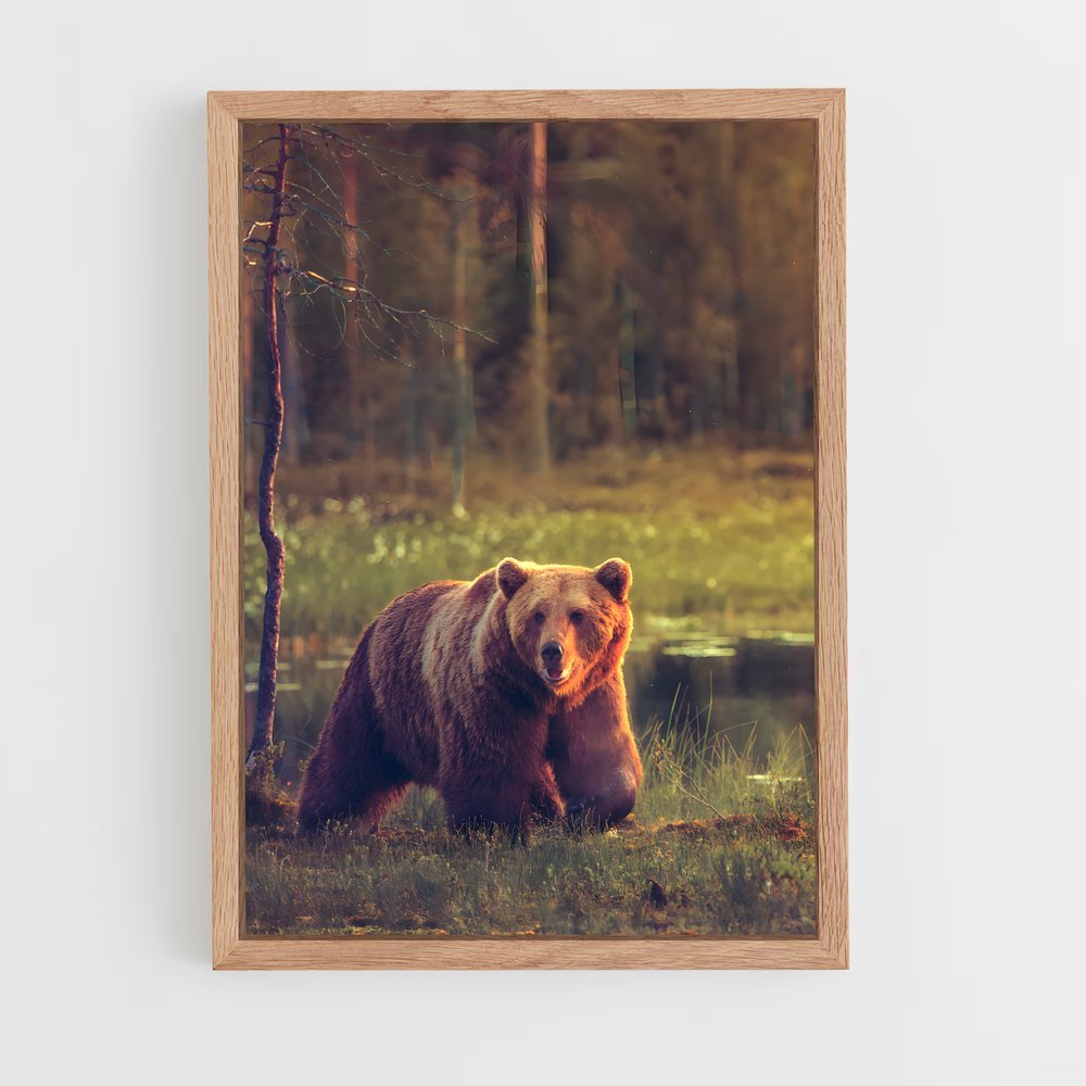 bear-3 cadre Bois clair